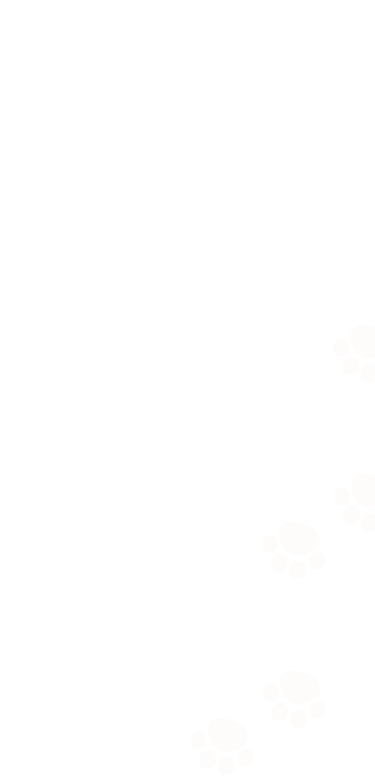 わんちゃんの足跡