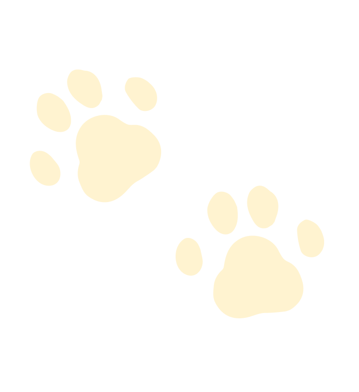 わんちゃんの足跡