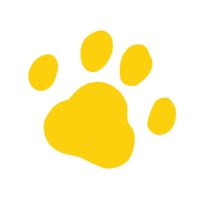 わんちゃんの足跡