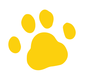 わんちゃんの足跡