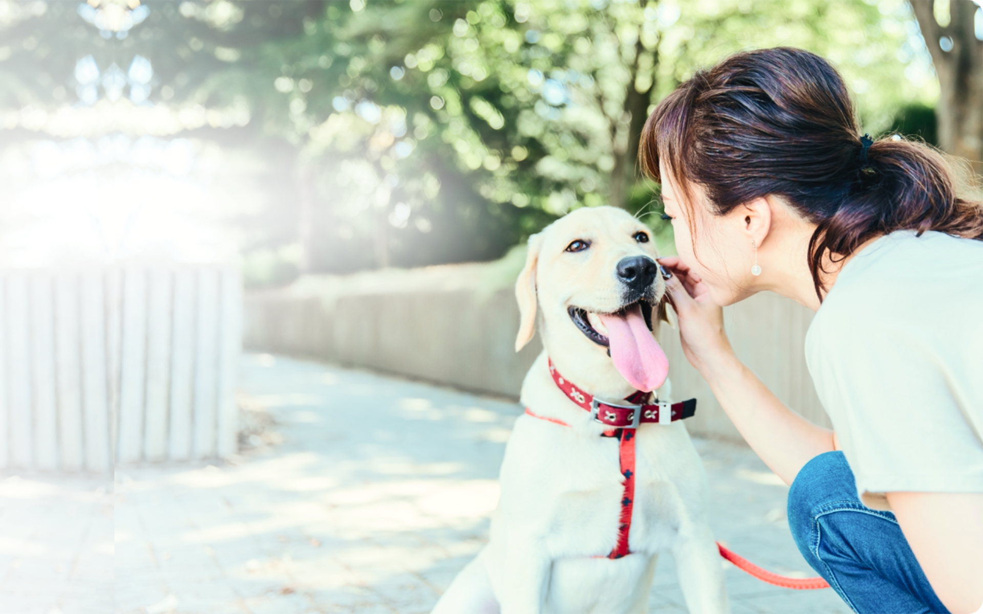 ウエルカムドッグの宿