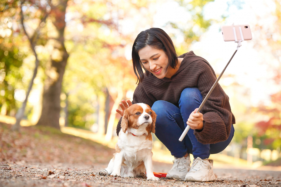 ペット旅行をもっと身近に