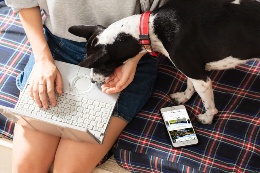 ウエルカムドッグのお宿