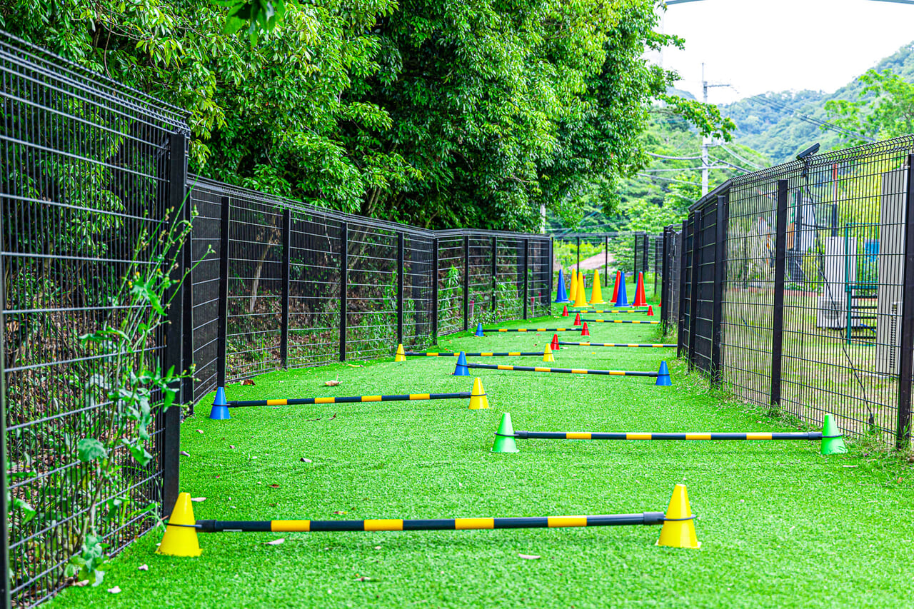 思いっきり走れる周遊ドッグラン