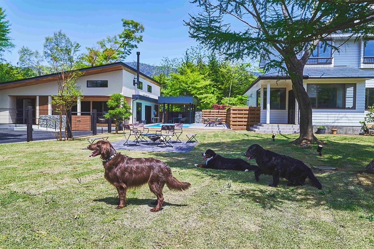 300坪のドッグランを備えたペットフレンドリーヴィラ